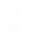 Miniature Component Assembly